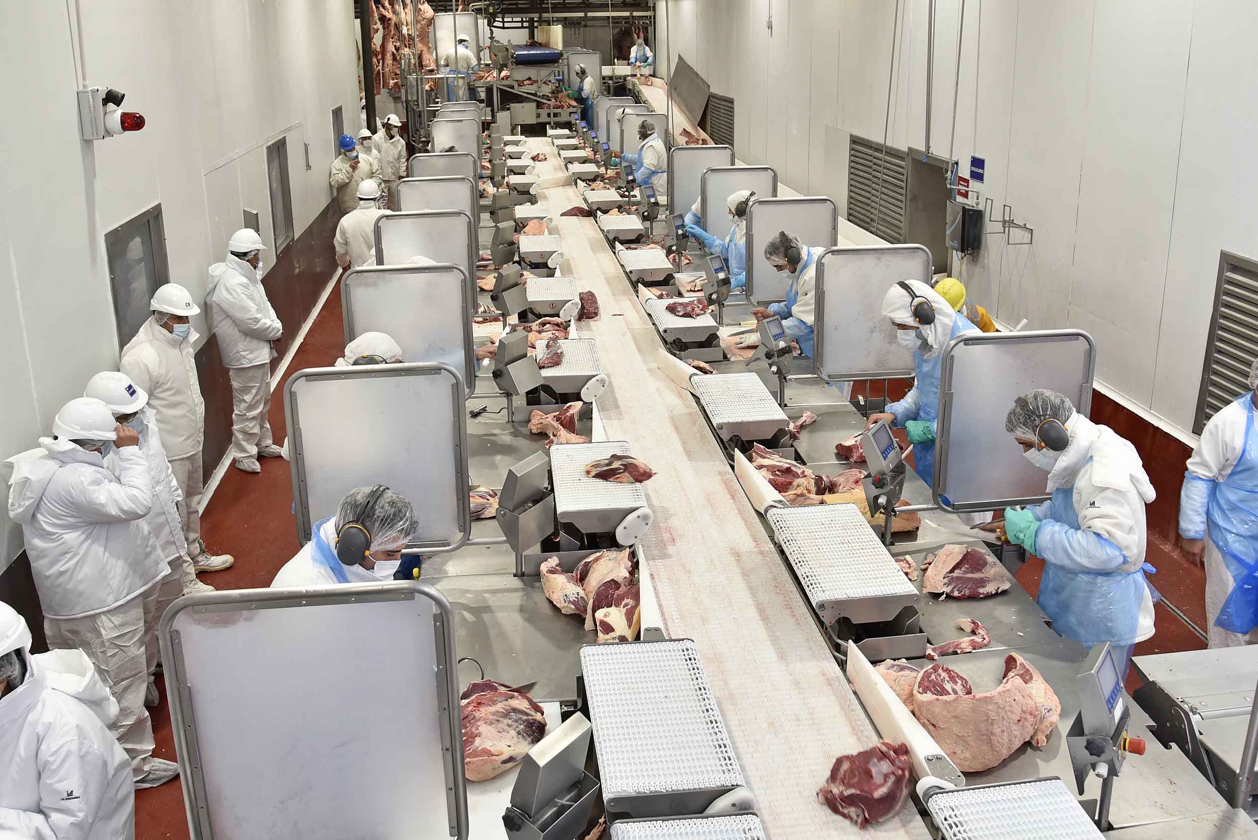 Home ARGENTINA MEAT RUNFO S.A 3203