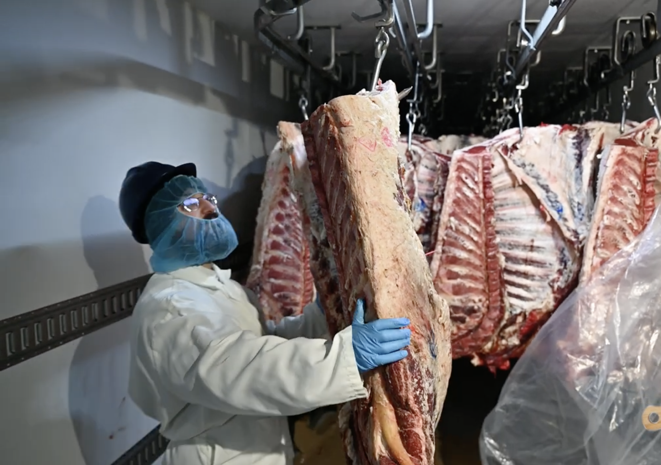 Runfo SA 3203 Argentina beef