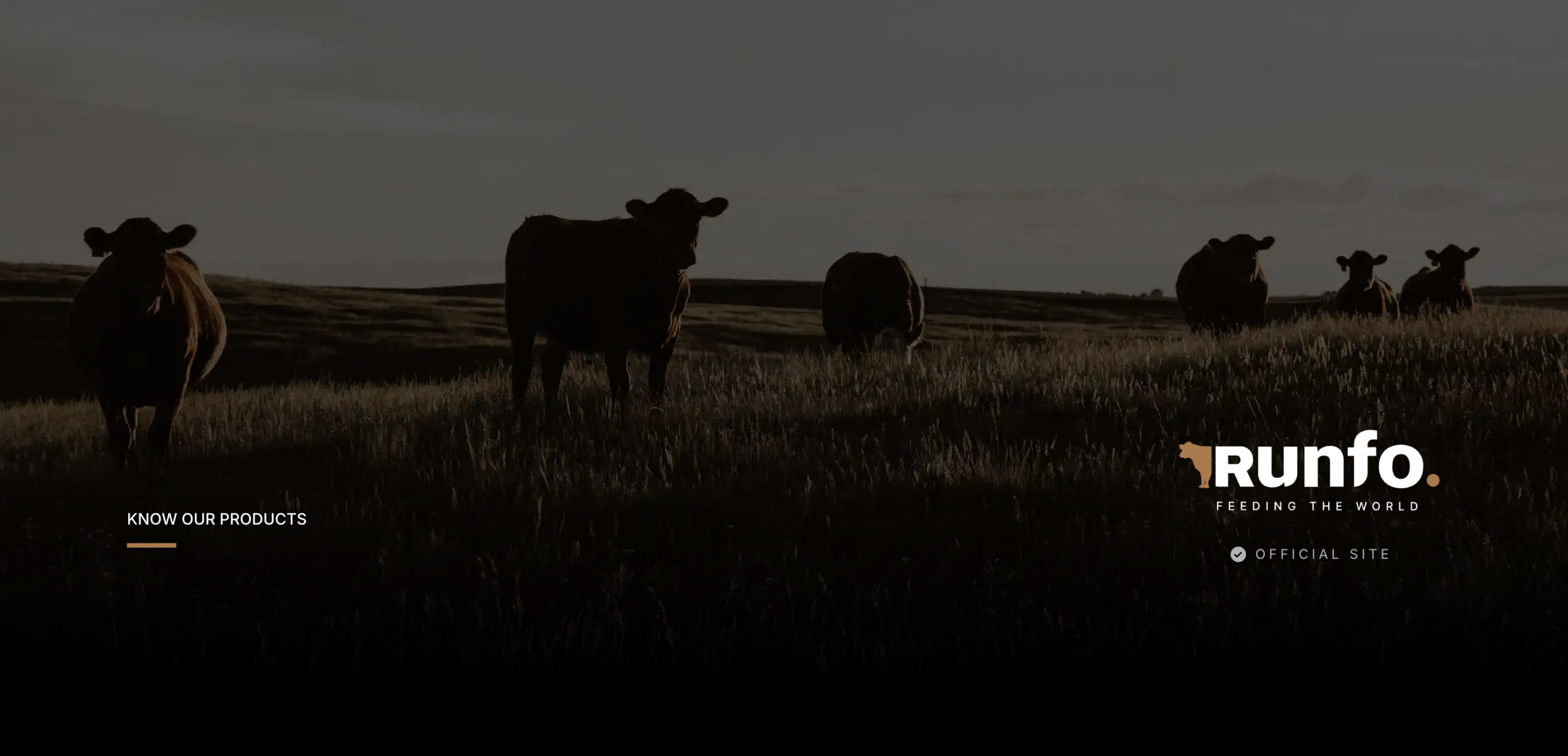 Runfo SA 3203 Argentina beef